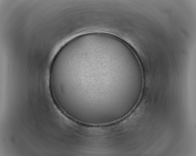 X0000113781508200910071213