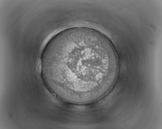 X0000113781509200910071213