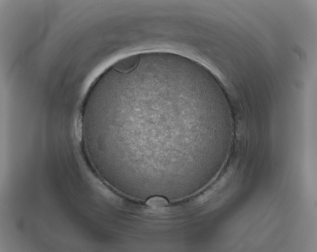 X0000113781510200910071213