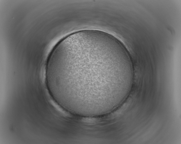 X0000113781511200910071213