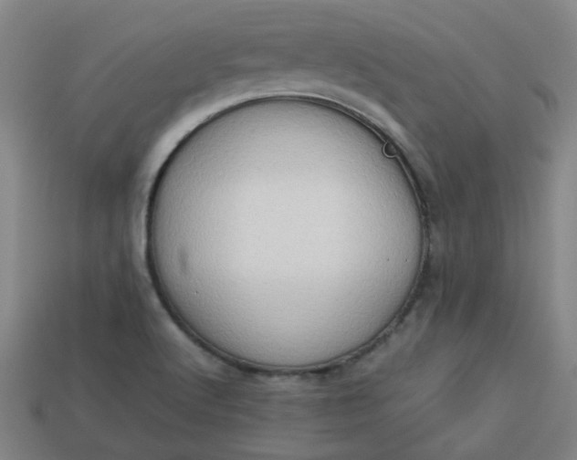 X0000113781512200910071213