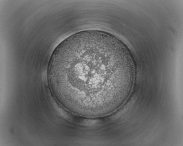 X0000113781513200910071213