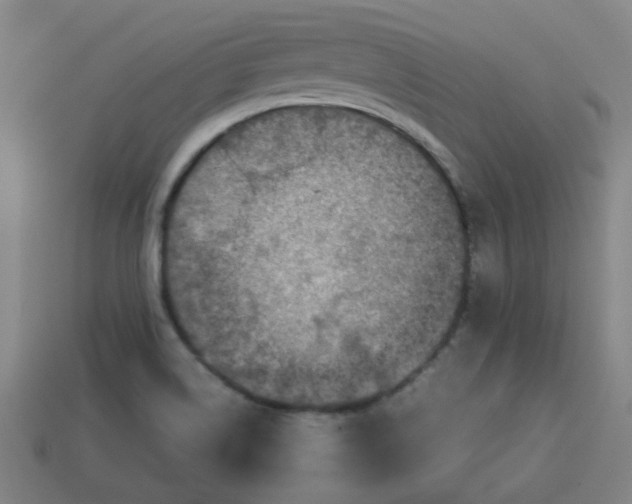 X0000113781514200910071213