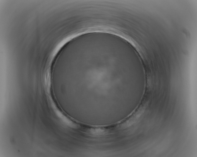 X0000113781515200910071213