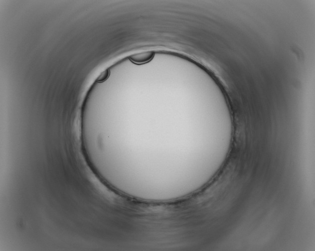 X0000113781516200910071213