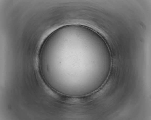 X0000113781517200910071213