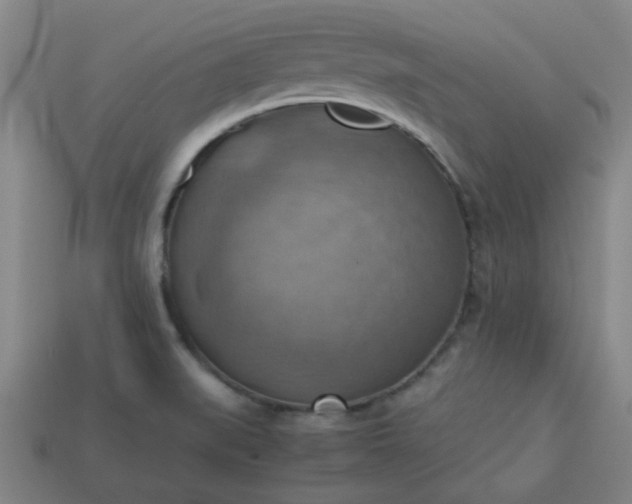 X0000113781519200910071213