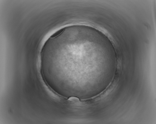 X0000113781520200910071213