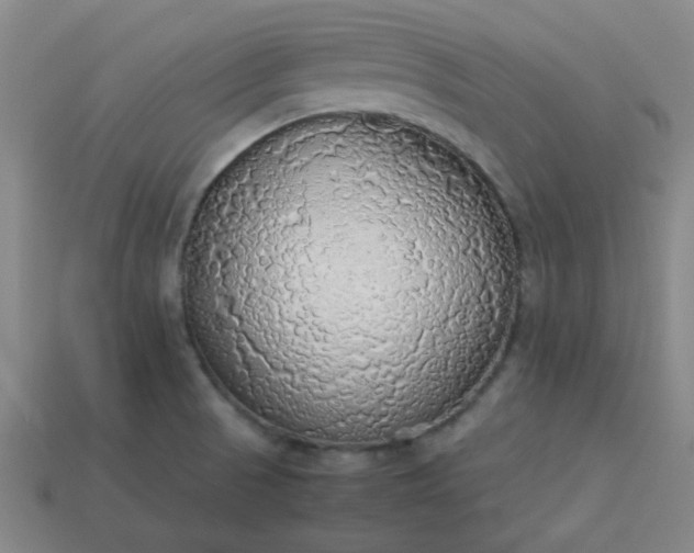 X0000113781521200910071213