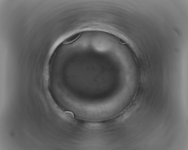 X0000113781522200910071213