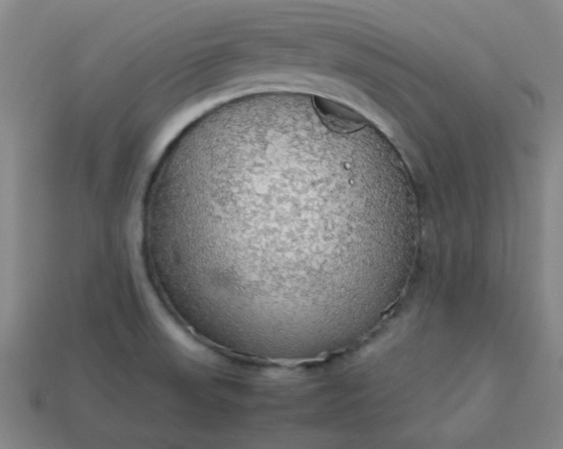 X0000113781523200910071213