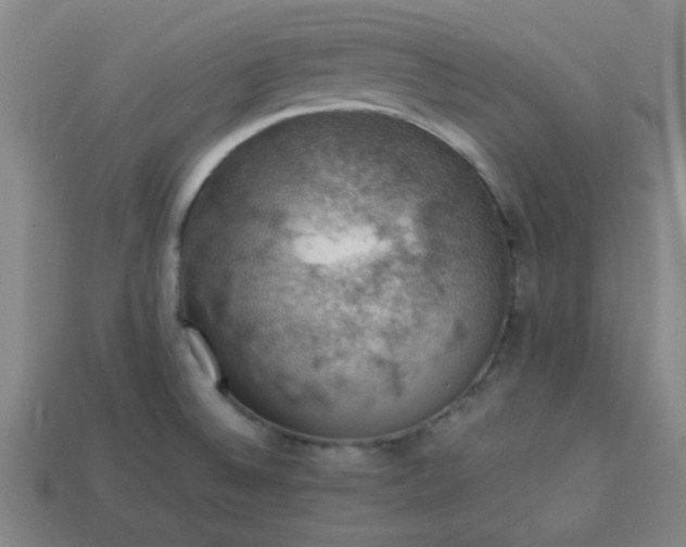 X0000113781524200910071213