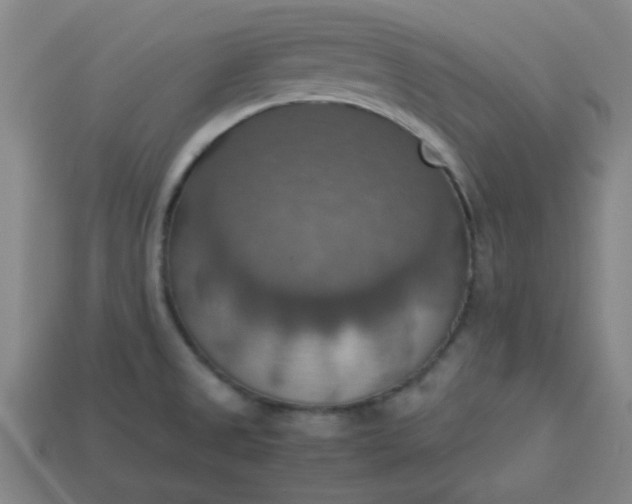 X0000113781525200910071213