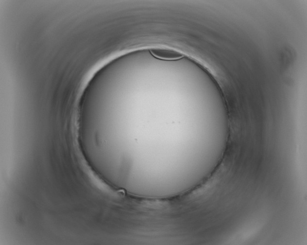 X0000113781526200910071213