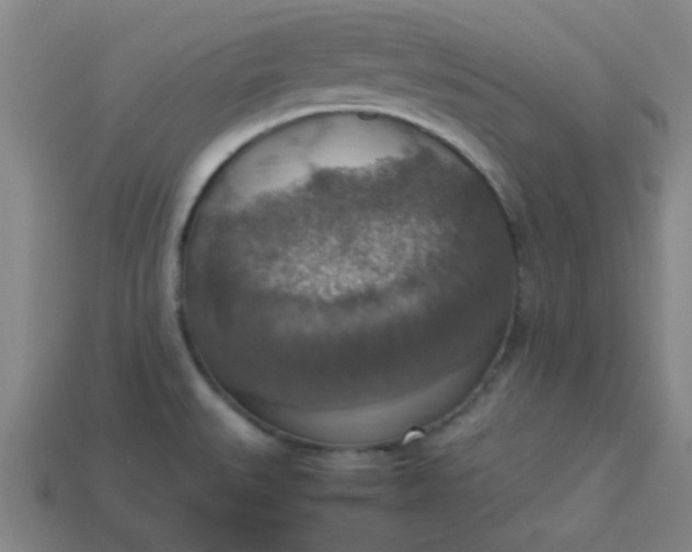 X0000113781527200910071213