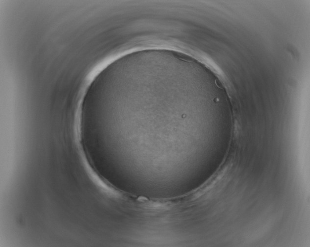 X0000113781528200910071213