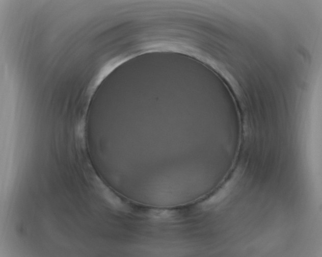 X0000113781529200910071213