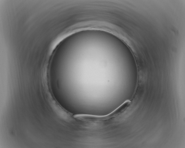 X0000113781530200910071213