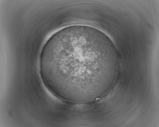 X0000113781531200910071213