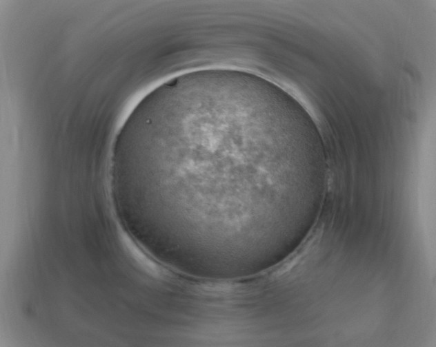 X0000113781532200910071213