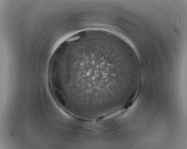 X0000113781533200910071213