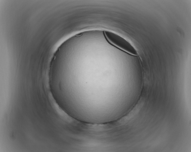 X0000113781534200910071213