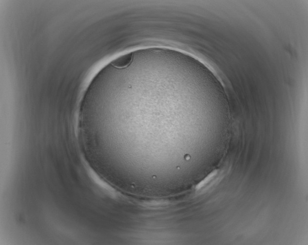 X0000113781535200910071213