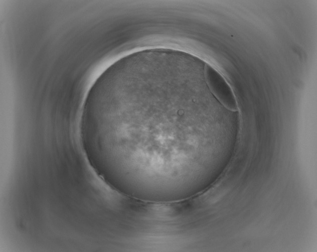 X0000113781536200910071213