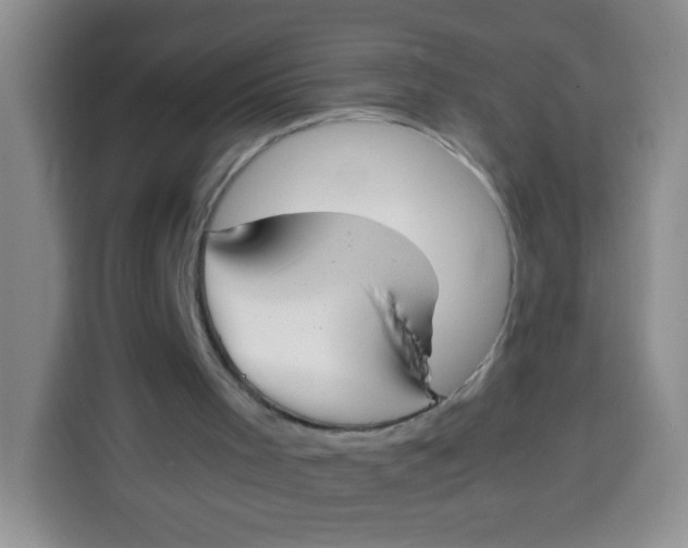 X0000113780001200910141048