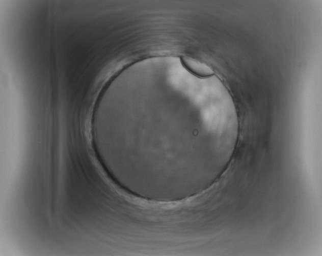 X0000113780002200910141048