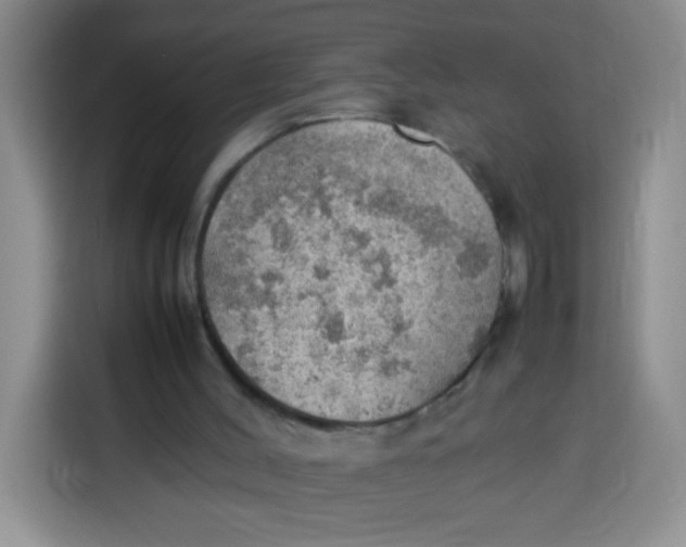 X0000113780004200910141048