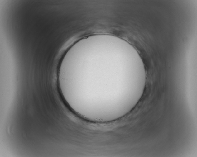 X0000113780005200910141048