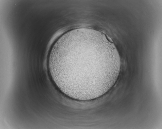 X0000113780006200910141048