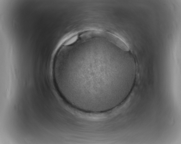 X0000113780008200910141047