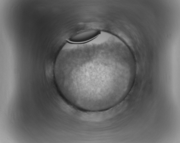 X0000113780009200910141047