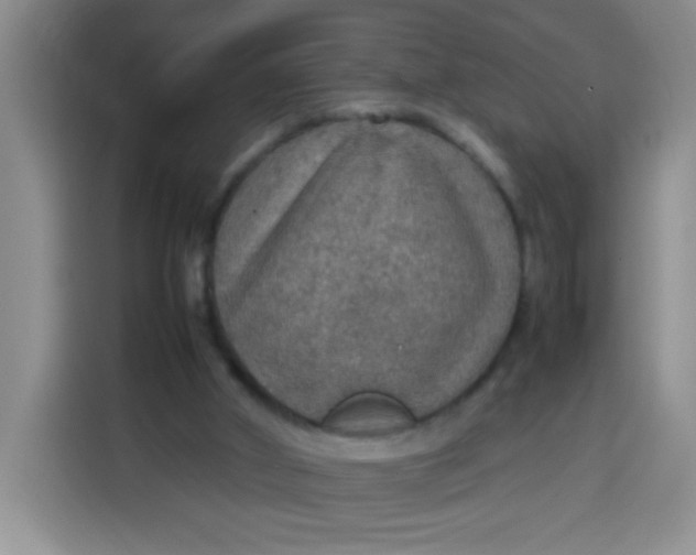 X0000113780010200910141047