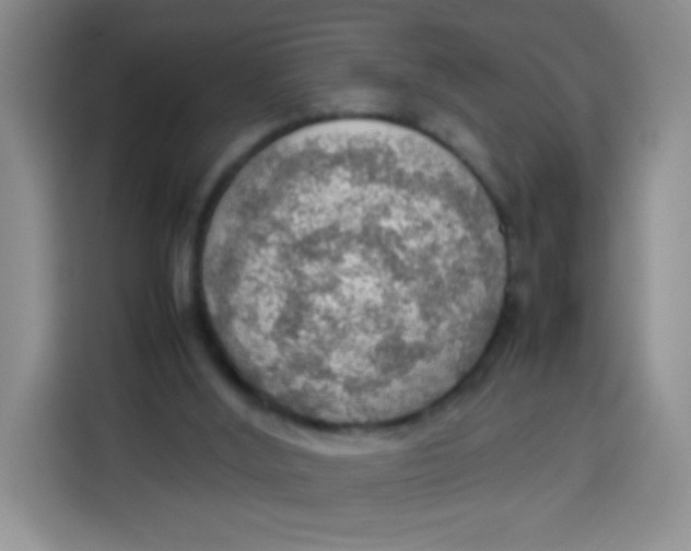 X0000113780012200910141047