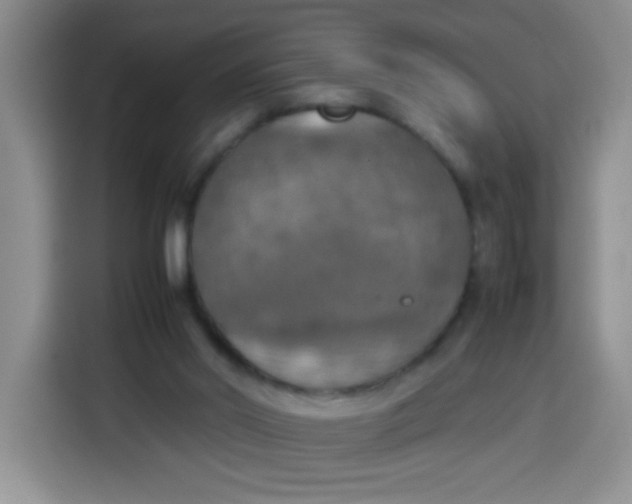 X0000113780014200910141047