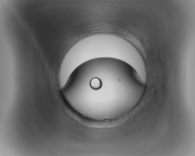 X0000113780017200910141047