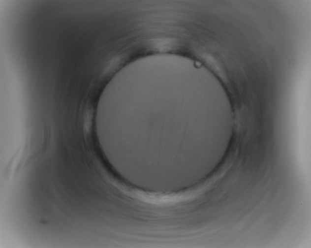 X0000113780018200910141047