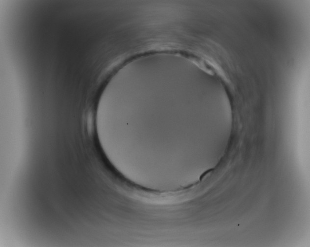 X0000113780019200910141047