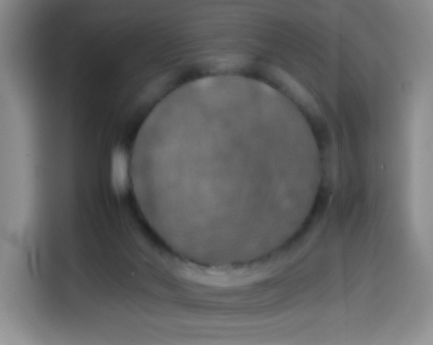 X0000113780022200910141047