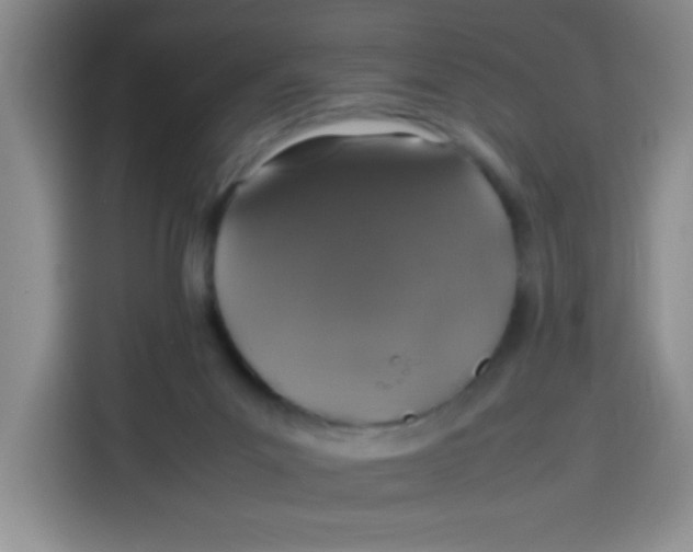 X0000113780023200910141047