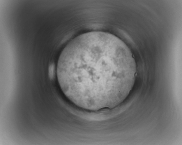 X0000113780024200910141047