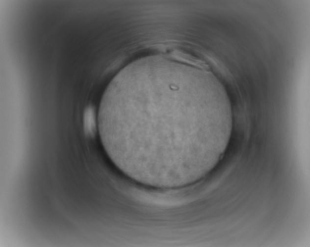 X0000113780028200910141047