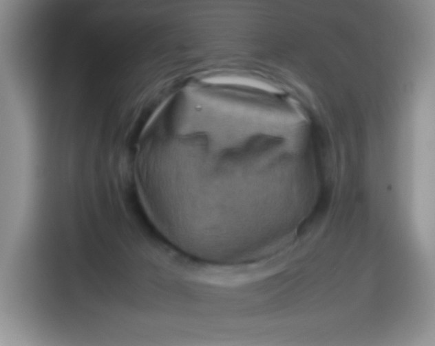 X0000113780029200910141047