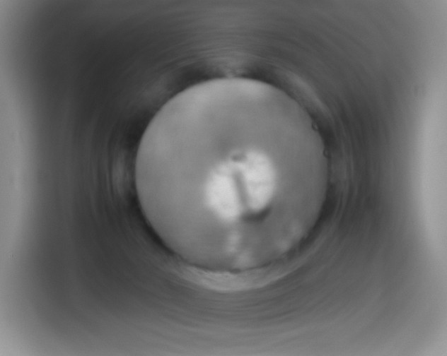 X0000113780030200910141047