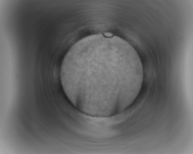 X0000113780034200910141047