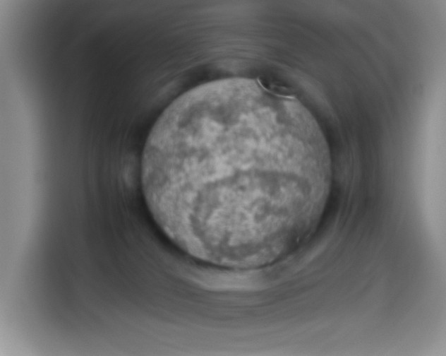 X0000113780036200910141047