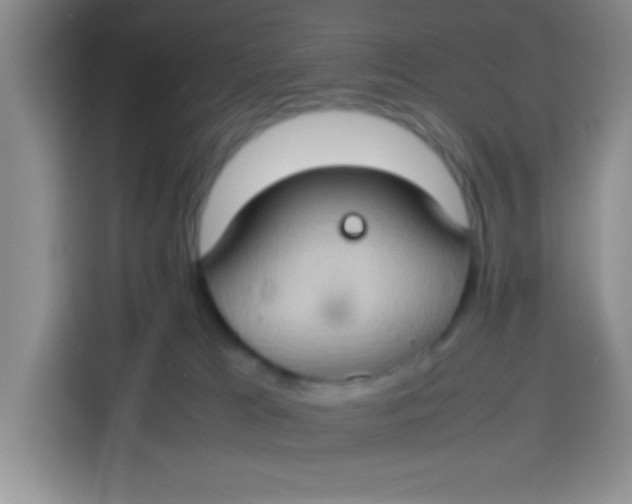 X0000113780037200910141047